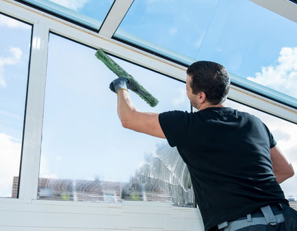 Solar Panel Cleaning